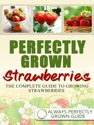 cover image of Perfectly Grown Strawberries